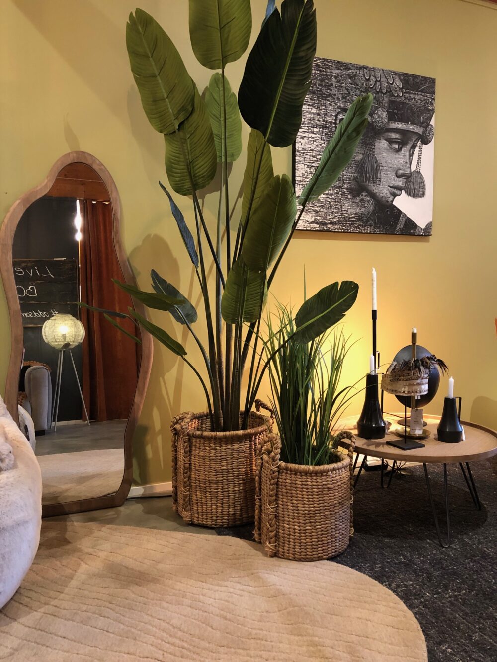 SNUGG Showroom_korit_tekokasvit_Laban